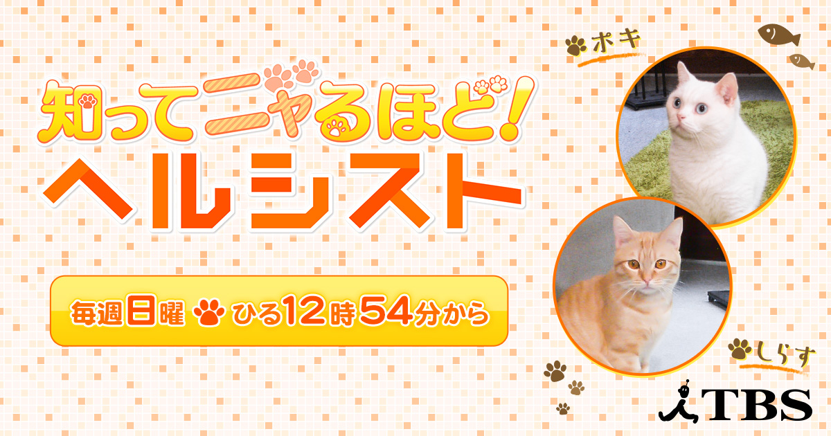 ニャるほど